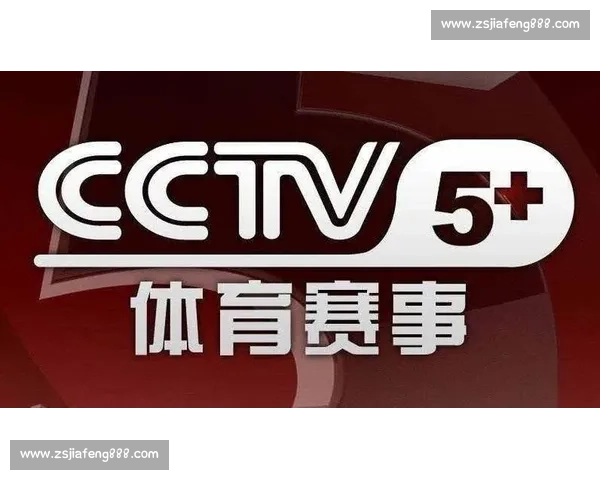 全球体育组织协作机制与多层次赛事发展策略研究