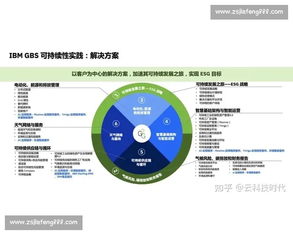整体优势驱动下的企业战略优化与可持续发展路径探索